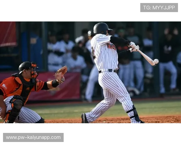 女子联赛发展：商业赞助提升女子篮球职业化进程，女子篮球联盟