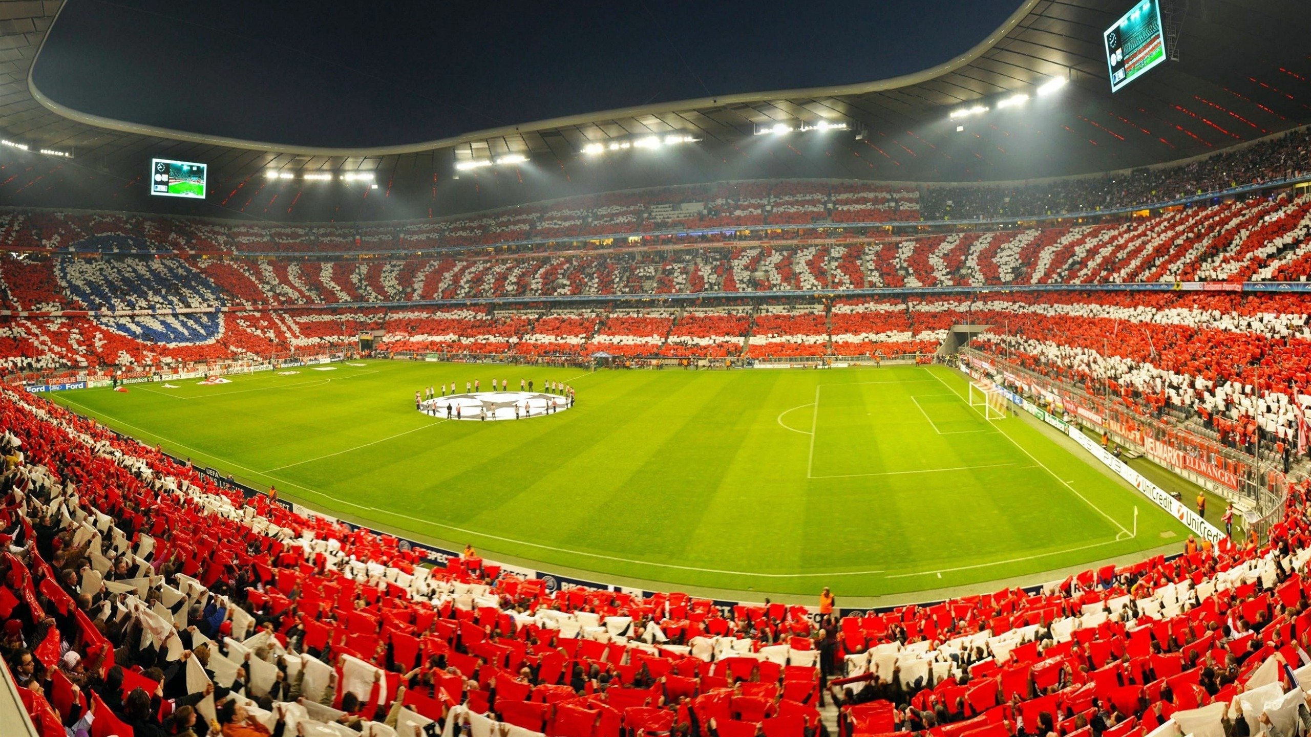 体育焦点新闻全景式报道,体育新闻专题报道