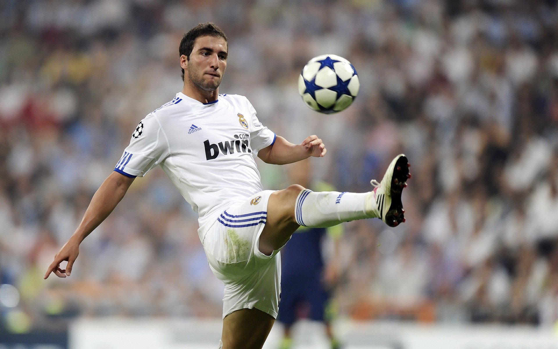 体育焦点新闻全球关注,体育焦点新闻全球关注最新