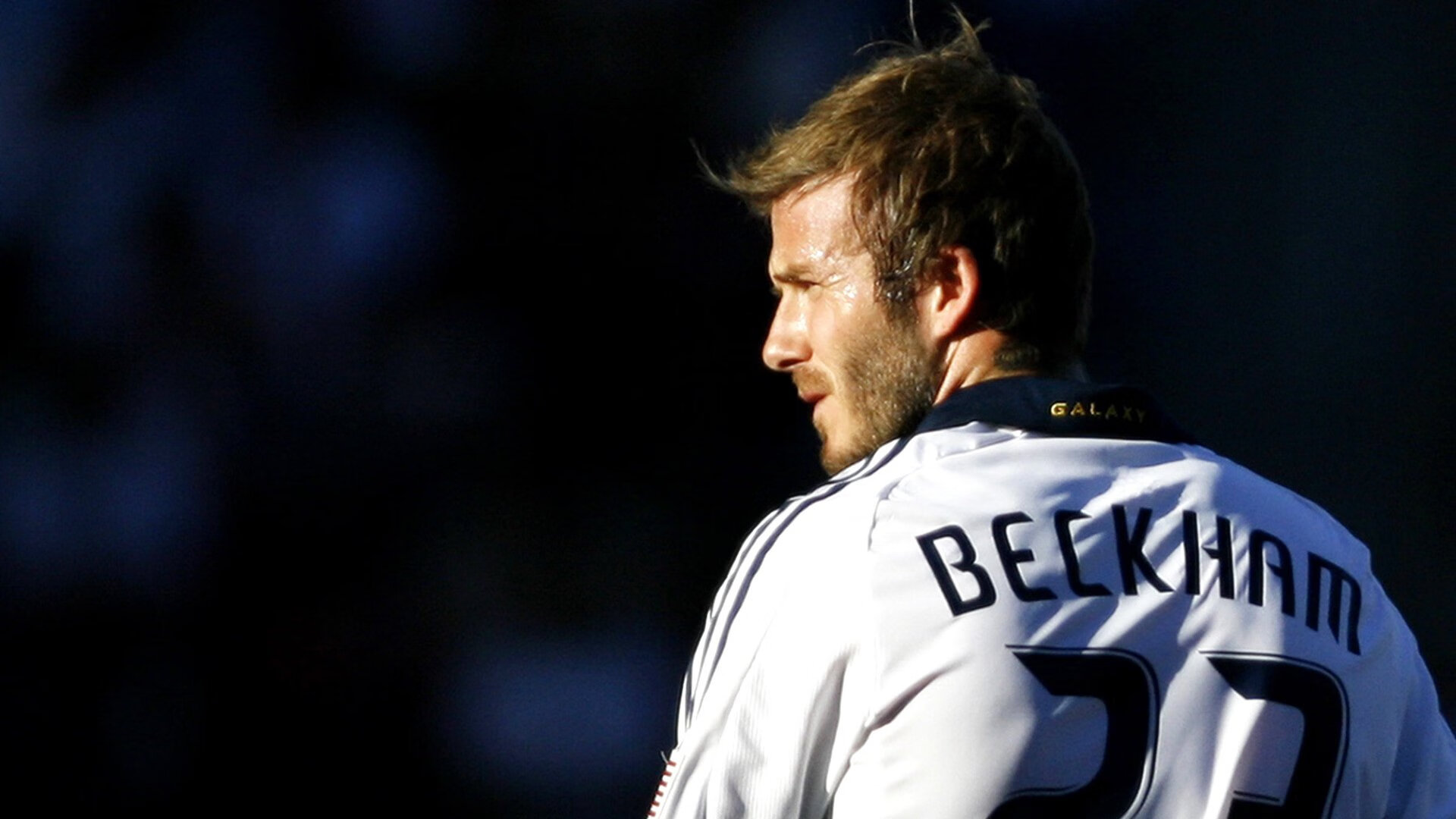 体育焦点新闻特别报道上线,体育焦点事