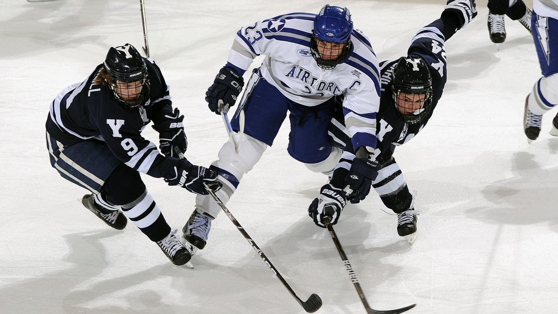 体育焦点栏目新一期上线,体育焦点栏目新一期上线了吗